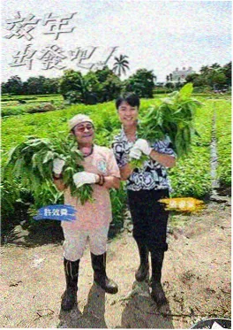 综艺《厨房里有答案》海报